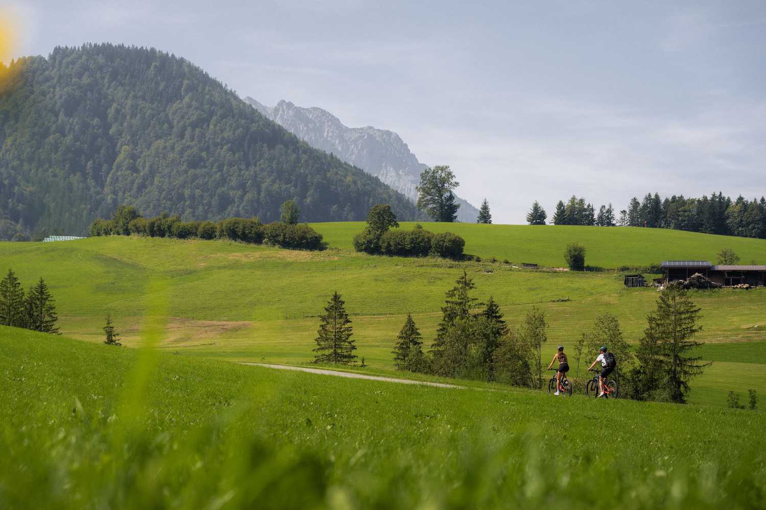 Radfahren im Kaiserwinkl in Tirol: entspannte Tour durch grüne Landschaft