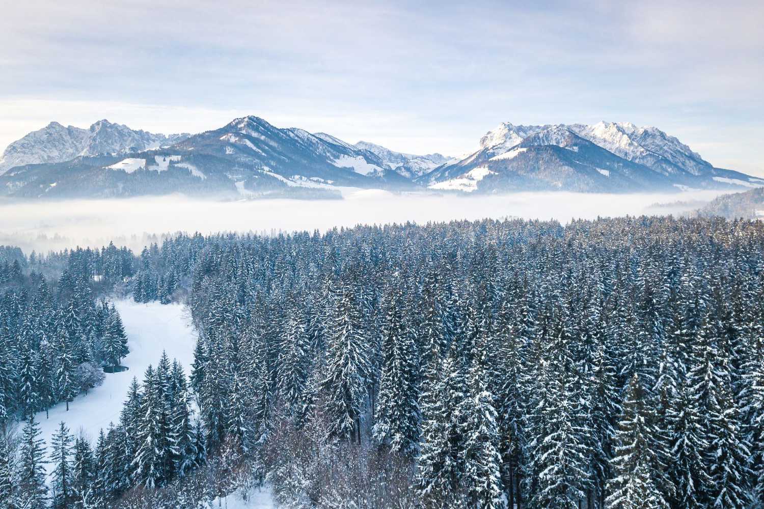 Winterpanorama im Kaiserwinkl in Tirol mit verschneitem Wald und Bergblick
