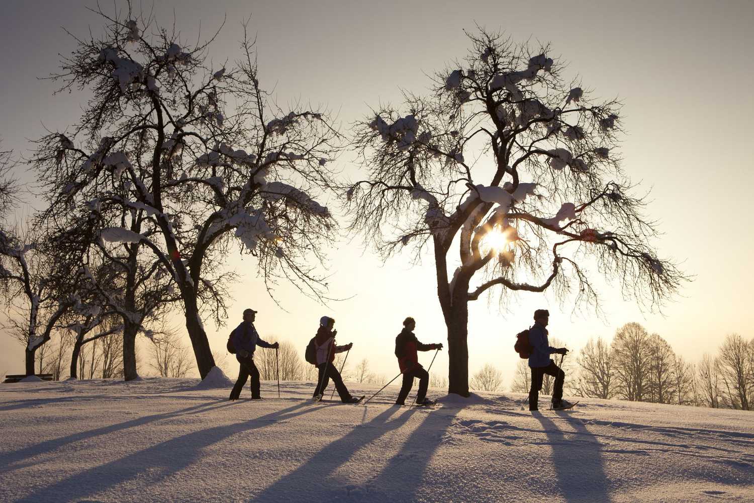Winterwandergruppe bei tief stehender Sonne im verschneiten Kaiserwinkl mit langen Schatten im Schnee